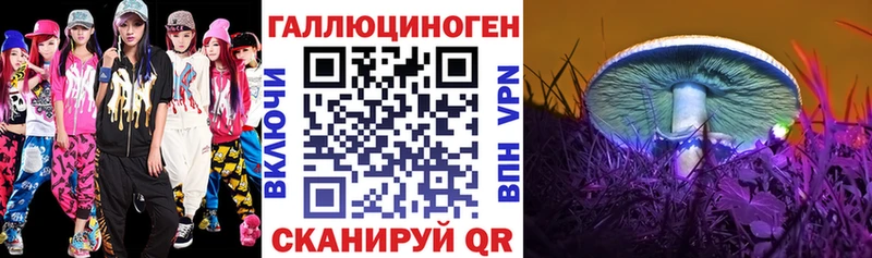 где можно купить наркотик  кракен маркетплейс  Псилоцибиновые грибы Cubensis  Кимовск 